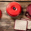 four pour plaque de cuisson de van