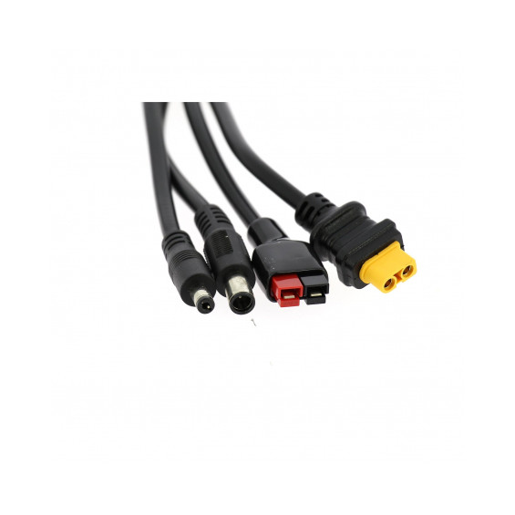Kit de connectique du panneau solaire EZA 60W : câble MC4, adaptateurs DC5521, DC7909, XT60 et Anderson