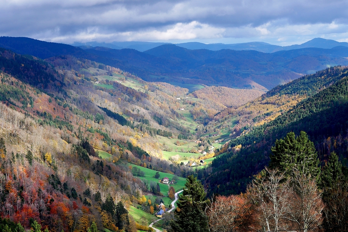 Une vallée dans les Vosges
