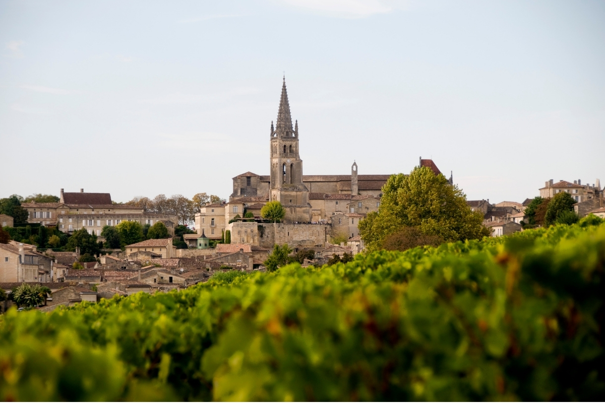 La flèche de l'église de Saint-Emilion vue depuis les vignes
