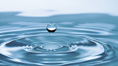 Vendredi 22 mars - Journée mondiale de l'eau  